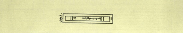 DNZ-Shechen-04-NGA-016.pdf