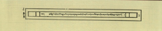 DNZ-Shechen-04-NGA-022.pdf