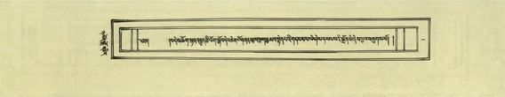 DNZ-Shechen-08-NYA-001.pdf