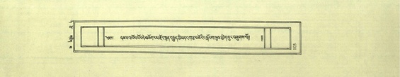 DNZ-Shechen-08-NYA-007.pdf