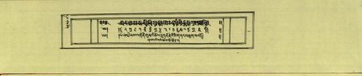 DNZ-Shechen-11-DA-001.pdf