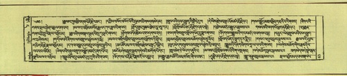 DNZ-Shechen-11-DA-004.pdf
