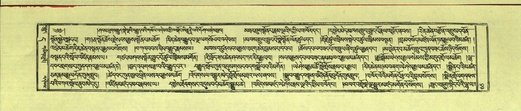 DNZ-Shechen-11-DA-005.pdf