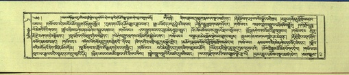 DNZ-Shechen-11-DA-006.pdf
