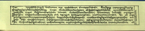 DNZ-Shechen-11-DA-009.pdf
