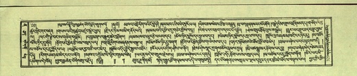 DNZ-Shechen-12-NA-015.pdf