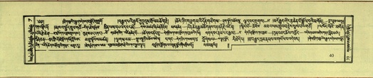 DNZ-Shechen-18-TSHA-002.pdf