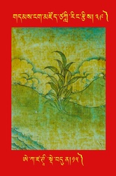 DNZ-Tsagli-039.pdf