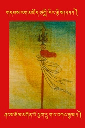 DNZ-Tsagli-155.pdf
